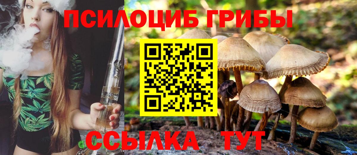 Галлюциногенные грибы мицелий  Вход с VPN  Нижнекамск  Псилоцибиновые грибы Psilocybe 