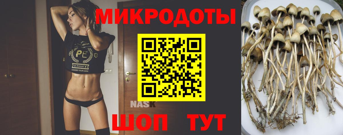 Псилоцибиновые грибы Cubensis Нижнекамск